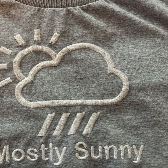 BILLY T sweatshirt, gray, Mostly Sunny in white embroidery, French Terry cotton - Picture 2 of 6